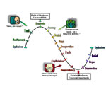 Market Emotions Cycle